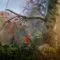 Unravel: Exploring the Environments
