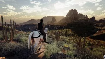 AQPDesert