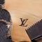 louis-vuitton–WOLV_LM_Brand_protection_DI3