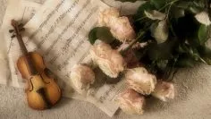 violin-2946996_1920
