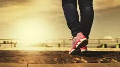 walk-2635038_1920